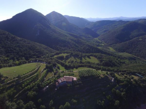 Отель Mas Pineda  Montagut i Oix